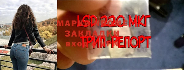 герыч Алзамай