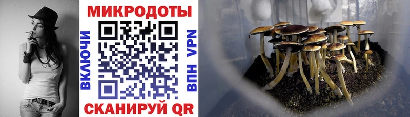 Галлюциногенные грибы MAGIC MUSHROOMS  blacksprut зеркало  Рубцовск 